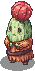 4_F_CACTUSLADY3