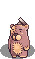 4_TEDDY_BEAR