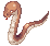 ANACONDAQ