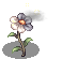 4_EP18_HALFFLOWER