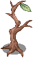 4_CH1_BRANCH