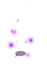 4_POINT_PURPLE