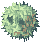 RAFFLESIA
