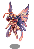 BLOOD_BUTTERFLY