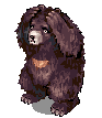 ZIPPER_BEAR