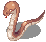 ANACONDAQ