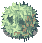 RAFFLESIA