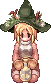 C_FOREST_GUIDE