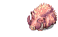 GULLINBURSTI