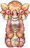 CITRUSRIBBON