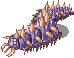 CENTIPEDE