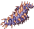 CENTIPEDE_LARVA