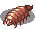 SIEGLOUSE