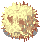 DRY_RAFFLESIA