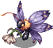 PAPILA