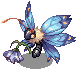 PAPILA_CAE