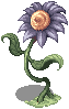 BLUE_FLOWER