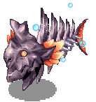 COELACANTH_N