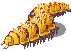 MD_SEWER_ARGIOPE