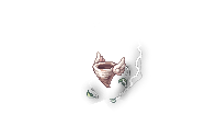 SPIRIT_D_WIND_S