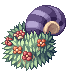 PETAL