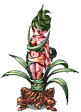 DRYAD