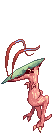 NOVUS