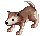 DESERT_WOLF_B