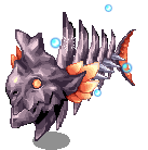 COELACANTH_N