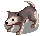 DR_DESERT_WOLF_B