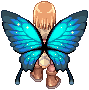 C_PAPILIO_ULYSSES_FEATHER