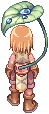C_LEAF_UMBRELLA