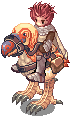 4_M_PECOKNIGHT