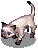 4_CAT